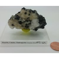 Dalmatiner Fluorit Calcit Pyrit | Ungewöhnliche Und Einzigartige Exemplar 49.3Gr von CrystalEarthSupply