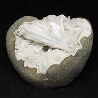 Wunderschöne Super Riesige Natürliche Scolocit Blume Geode, Geschenk, Dekoratives Stück von CrystalEasy