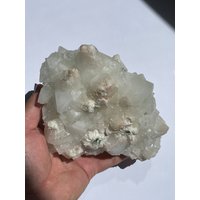 Apophyllit Natur Cluster Ap909 | Freistehend von CrystalKingAustralia