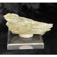 Grüner Spodumen Var. Kunzit Hiddenit Geätzter Terminierter Kristall 45G Grüner Spodumen Var. Kunzit Hiddenit Geätzter Terminierter Kristall 45G von CrystalRockology