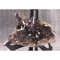 Großer Schwarzer Kristall Cluster/Schwarzquarz Cluster/Kristall Stufe/Crystal Stufe-1646G-Ein Stück#136 von CrystalSupplier