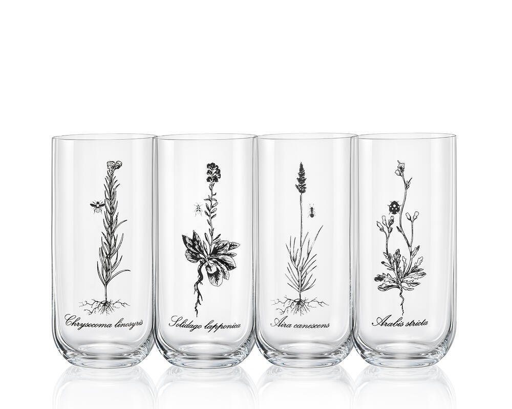 Crystalex Longdrinkglas Longdrinks Herbs Wiesenkräuter Kristallglas 440 ml 4er Set, Kristallglas, Kristallglas, 4 unterschiedliche Gläser, Bohemia von Crystalex