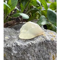 Libysches Dessertglas Heilstück - Meditation Dessertglas - Gold Tektit von CrystalsForYouUK