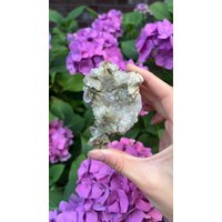 Wunderschöne Bergkristall Stufe von CrystalsbyLao