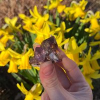 Wunderschöner Amethyst Zepter Wunderschöner Amethyst Zepter von CrystalsbyLao
