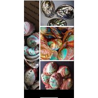 2"-3" Abalone Shells/Erstaunliche Farbe Auffällig Mehrfarbig Ritual/Altar Heilung/Meditation Wohnkultur Verschmieren Schüssel-Sage Platte 2"-3" Abalone Shells/Erstaunliche Farbe Auffällig Mehrfarbig Ritual/Altar Heilung/Meditation Wohnkultur Verschmieren Schüssel-Sage Platte von Crystalsofyourdreams