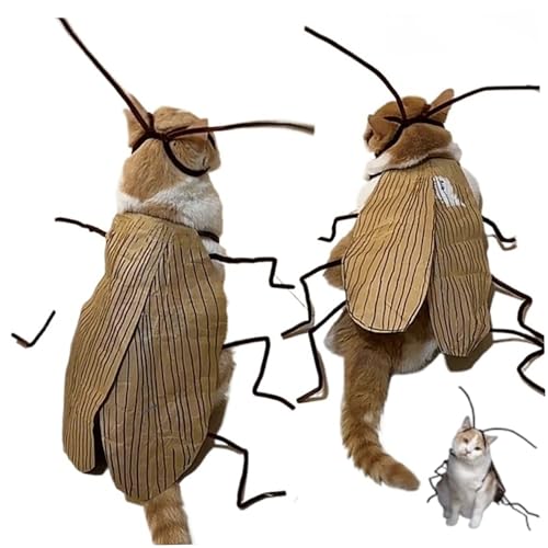 2 Sets Katzen Halloween Kostüme Material Kit, DIY Funny Dog Cockroach Kostüm Kit, Katzen -Outfit für Halloween -Party -Cosplay -Dekor von Csafyrt