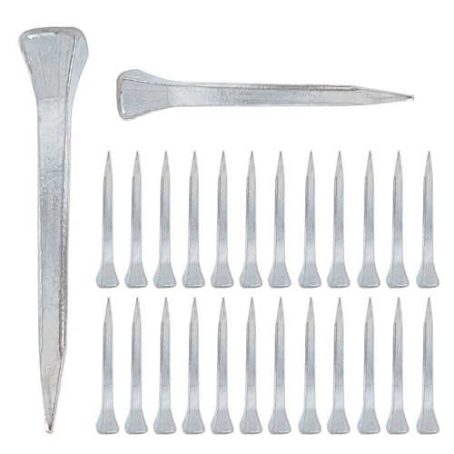 Ctyjia 60 Stück Hufeisen Nägel, E3(45mm) Horseshoe Nails Pferdewerkzeug Zubehör, Hufnägel für Dekorieren, Pferdetraining, Reitsport von Ctyjia
