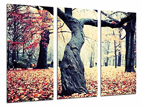 Wandbild - Herbstlandschaft, Baum, gefallene Blätter im Wald, 97 x 62 cm, Holzdruck - XXL Format - Kunstdruck, ref.26843 von Cuadros Cámara