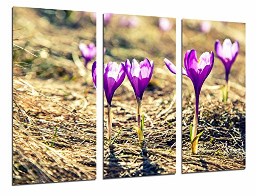 Wandbild - Blumendekoration Lila Natur, 97 x 62 cm, Holzdruck - XXL Format - Kunstdruck, ref.26817 von Cuadros Cámara