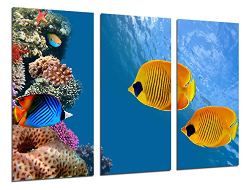 Bildkamera, Bild, mehrfarbig, 97 x 62 cm von Cuadros Camara