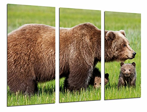 Wandbild - Tier-Braunbär und Bärenjungen in wilder Natur, 97 x 62 cm, Holzdruck - XXL Format - Kunstdruck, ref.26801 von Cuadros Cámara