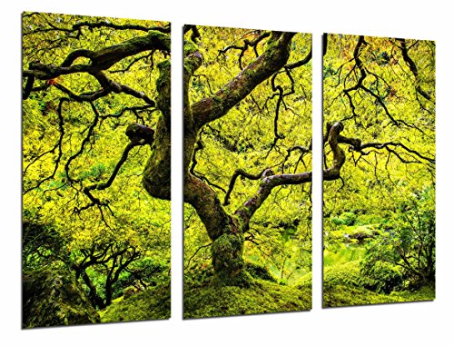 Wandbild - Japanischer Baum-Natur-Herbst, Stamm und Niederlassungen grün, 97 x 62 cm, Holzdruck - XXL Format - Kunstdruck, ref.26979 von Cuadros Cámara