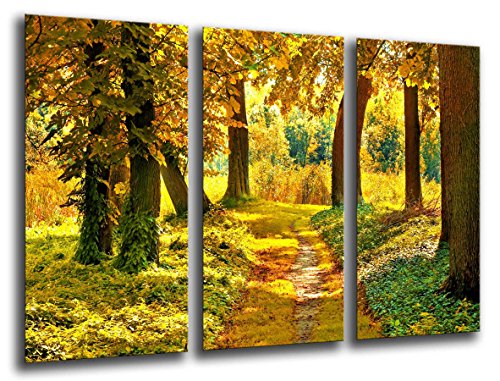 Wandbild - Herbst Wald, Landschaft Natur, Sonnenuntergang, 97 x 62 cm, Holzdruck - XXL Format - Kunstdruck, ref.26043 von Cuadros Cámara