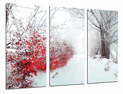 Wandbild - Winter-weißer Noten-roter Weg-Schnee-Wald, Baum, 97 x 62 cm, Holzdruck - XXL Format - Kunstdruck, ref.27026 von Cuadros Cámara