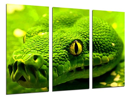 Wandbild - Wilde Natur, grüne Schlange, 97 x 62 cm, Holzdruck - XXL Format - Kunstdruck, ref.26368 von Cuadros Cámara