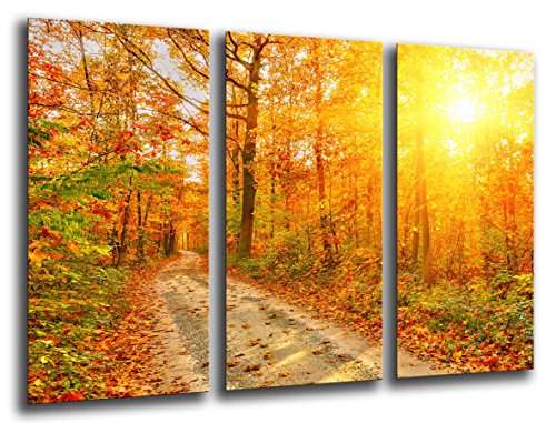 Wandbild - Herbst Wald, Landschaft Natur, Sonnenuntergang, 97 x 62 cm, Holzdruck - XXL Format - Kunstdruck, ref.26040 von Cuadros Cámara