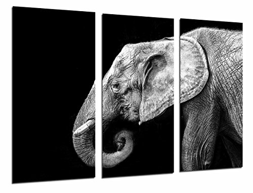 Wandbild - Elefant Schwarz und Weiß, Wilde Tiere, Natur, 97 x 62 cm, Holzdruck - XXL Format - Kunstdruck, ref.26855 von Cuadros Cámara