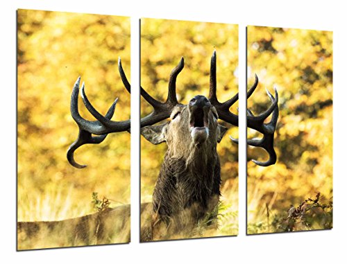 Wandbild - Tierhirsch in der Natur, Brachsen, wildes Leben, 97 x 62 cm, Holzdruck - XXL Format - Kunstdruck, ref.26774 von Cuadros Cámara