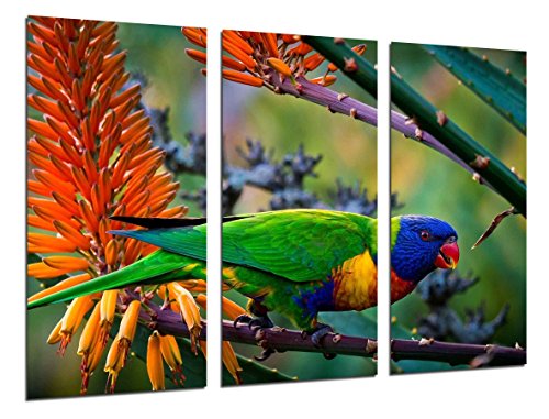 Wandbild - Exotischer karibischer Papagei, Natur, 97 x 62 cm, Holzdruck - XXL Format - Kunstdruck, ref.26274 von Cuadros Cámara
