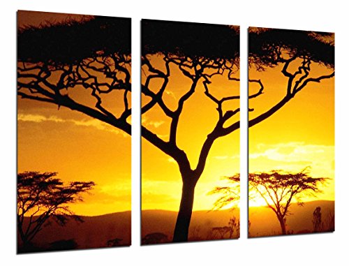 Wandbild - Afrikanischer Baumsonnenuntergang, Natur, 97 x 62 cm, Holzdruck - XXL Format - Kunstdruck, ref.26586 von Cuadros Cámara