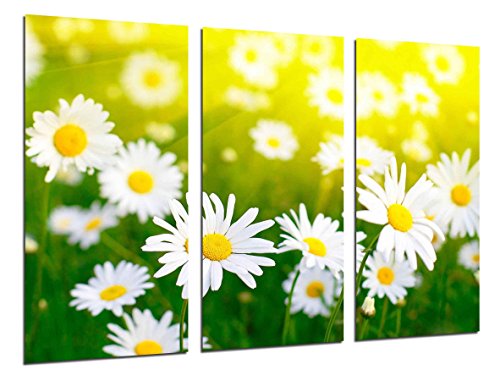 Gemälde Kamera Poster Foto mehrfarbig 97 x 62 cm Gemälde Kamera Poster Foto mehrfarbig 97 x 62 cm von Cuadros Cámara