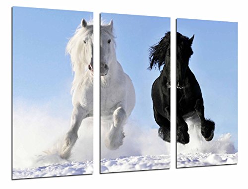 Gemälde Kamera Poster Foto mehrfarbig 97 x 62 cm Gemälde Kamera Poster Foto mehrfarbig 97 x 62 cm von Cuadros Cámara