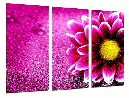 Gemälde Kamera Poster Foto mehrfarbig 97 x 62 cm Gemälde Kamera Poster Foto mehrfarbig 97 x 62 cm von Cuadros Cámara