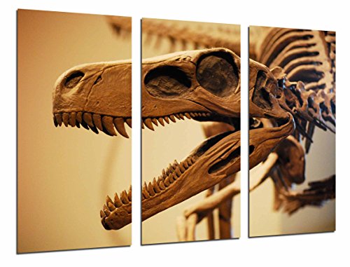 Gemälde Kamera Poster Foto mehrfarbig 97 x 62 cm Gemälde Kamera Poster Foto mehrfarbig 97 x 62 cm von Cuadros Cámara
