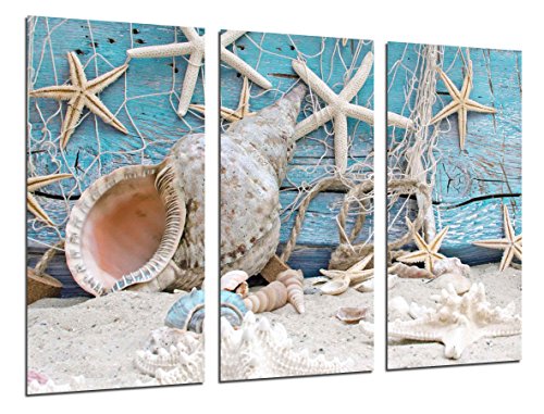 Gemälde Kamera Poster Foto mehrfarbig 97 x 62 cm Gemälde Kamera Poster Foto mehrfarbig 97 x 62 cm von Cuadros Camara