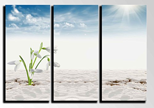 Kunstdruck mit Rahmen, aufhängfertig, 96,5 x 61 cm, Motiv: Wüste und Dünen 26208 Kunstdruck mit Rahmen, aufhängfertig, 96,5 x 61 cm, Motiv: Wüste und Dünen 26208 von Cuadros Cámara