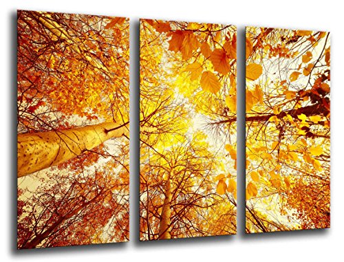 Wandbild - Bild Forest Autumn, Landschaft Mutter Natur, Sonnenuntergang, 97 x 62 cm, Holzdruck - XXL Format - Kunstdruck, 26041 von Cuadros Cámara