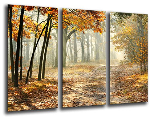 Wandbild - Herbst Wald, Landschaft Natur, Sonnenuntergang, 97 x 62 cm, Holzdruck - XXL Format - Kunstdruck, ref.26044 von Cuadros Cámara