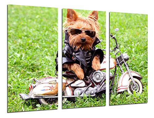 Wandbild - Hund mit Motorrad, Kinder, 97 x 62 cm, Holzdruck - XXL Format - Kunstdruck, ref.26267 von Cuadros Cámara