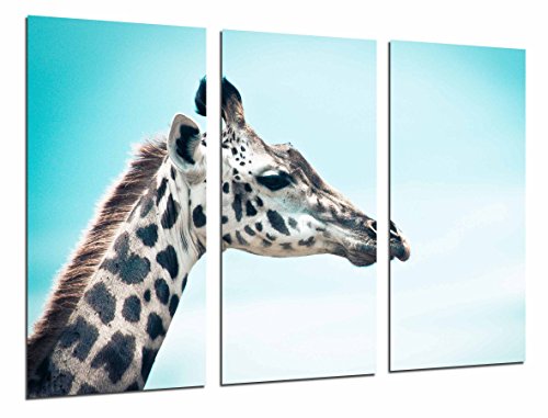 Wandbild - Tierdekorations-Natur-Giraffe, blauer Himmel, 97 x 62 cm, Holzdruck - XXL Format - Kunstdruck, ref.26894 von Cuadros Cámara
