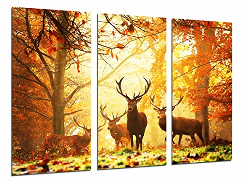 Wandbild - Tierhirsch in der Natur, Herbstlandschaft, 97 x 62 cm, Holzdruck - XXL Format - Kunstdruck, ref.26780 von Cuadros Cámara