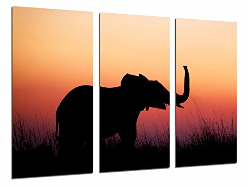 Wandbild - Tierkulisse-Elefant-züchtender Sonnenuntergang in der Natur, 97 x 62 cm, Holzdruck - XXL Format - Kunstdruck, ref.26815 von Cuadros Cámara