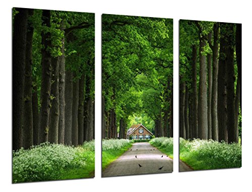 Wandbild - Wald, Holzhaus, Bäume, 97 x 62 cm, Holzdruck - XXL Format - Kunstdruck, ref.26305 von Cuadros Cámara