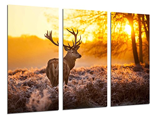 Wandbild - Waldlandschaft, Rentier, Natur, Tiere, 97 x 62 cm, Holzdruck - XXL Format - Kunstdruck, ref.26481 von Cuadros Cámara