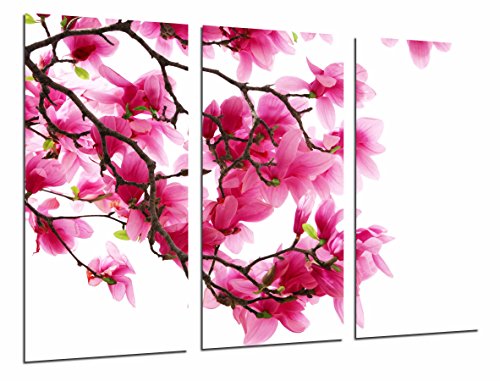 Wandbild - Weißer Hintergrund mit Rosen-Blumen in der Natur, Mandelbaum, 97 x 62 cm, Holzdruck - XXL Format - Kunstdruck, ref.26916 von Cuadros Cámara