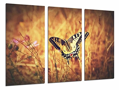 Wandbild - Weißer und schwarzer Schmetterling, Natur, 97 x 62 cm, Holzdruck - XXL Format - Kunstdruck, ref.26596 von Cuadros Cámara