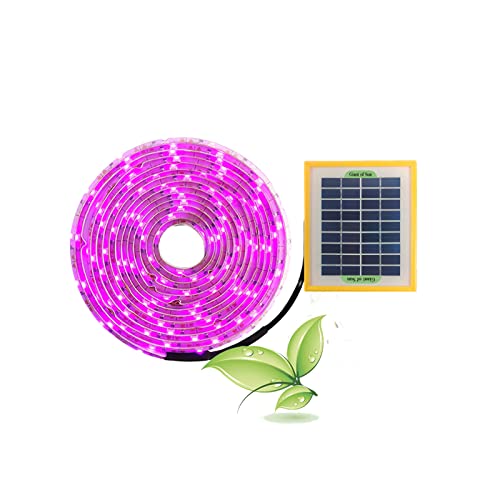 Solar Plant Grow Light Strips, 5 W LED Hoher Lichtstrom FöRdern das Wachstum, Solarpanel-Netzteil, LED-Wachstumslampen, FüR GemüSeblumensäMlinge Im Innenbereich (3M) von Cuifati