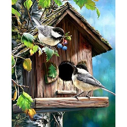Cukol Kreuzstich Set Vorgedruckt Erwachsene Vogel, Stickvorlagen Stickbilder Vorgedruckt Kreuzstich Stickpackungen Stickpackung Stickbild Stickset Sticken Set Cross Stitch Kit 36 x 46 cm Cukol Kreuzstich Set Vorgedruckt Erwachsene Vogel, Stickvorlagen Stickbilder Vorgedruckt Kreuzstich Stickpackungen Stickpackung Stickbild Stickset Sticken Set Cross Stitch Kit 36 x 46 cm von cukol cukol