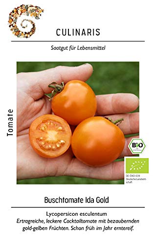 Culinaris 014 Buschtomate Ida Gold (Bio-Buschtomatensamen) von Culinaris