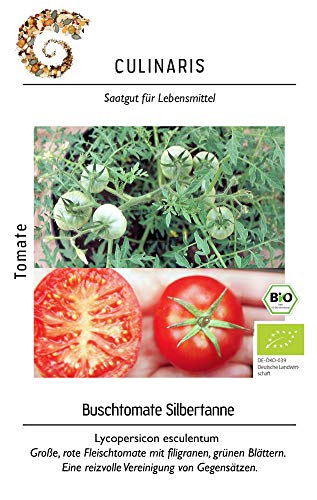 Culinaris 015 Buschtomate Silbertanne (Bio-Buschtomatensamen) von Culinaris