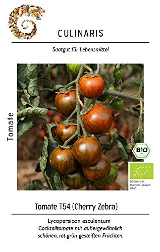 Culinaris 111 Tomate Cherry Zebra (BIO Tomatensamen) von Culinaris