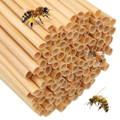 500 Pièces Tubes en Bambou, 14.5cm,Tubes de Nidification en Carton, Manchons de Nidification, Matériau de remplissage Pour Hôtel à Insectes, Maison à Insectes, Abeilles Sauvages von Culinavog