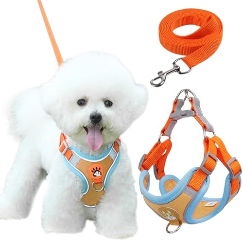Culinavog Hundegeschirr Set, 1 Stück Verstellbares Hundegeschirr mit Gepolsterter Weste, Einfach zu bedienen, Mehrzweck Dog Harness, Welpengeschirr für Kleine Hunde, Katzengeschirr (Orange, X-Small) Culinavog Hundegeschirr Set, 1 Stück Verstellbares Hundegeschirr mit Gepolsterter Weste, Einfach zu bedienen, Mehrzweck Dog Harness, Welpengeschirr für Kleine Hunde, Katzengeschirr (Orange, X-Small) von Culinavog