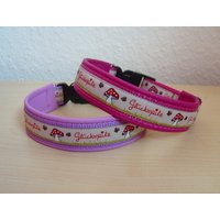 Hundehalsband Glückspilz Hundehalsband Glückspilz von CultForDogs