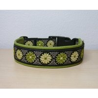 Hundehalsband Pinwheel von CultForDogs